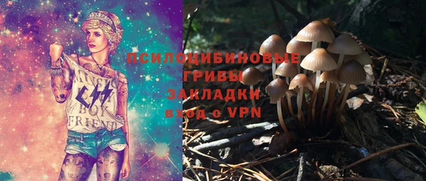 а пвп мука Коряжма