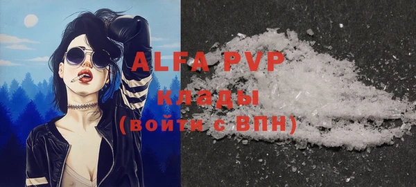 гидра Болотное