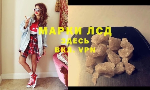 гашик Корсаков