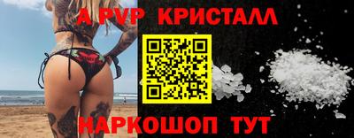 СК Камышлов