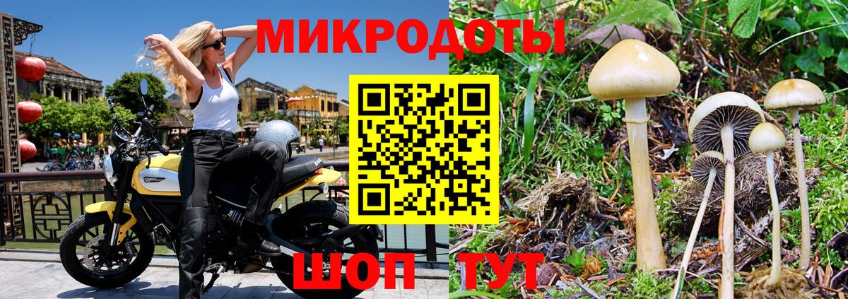 Галлюциногенные грибы Psilocybine cubensis  Вход с VPN  где продают   Лесозаводск  Галлюциногенные грибы Magic Shrooms 
