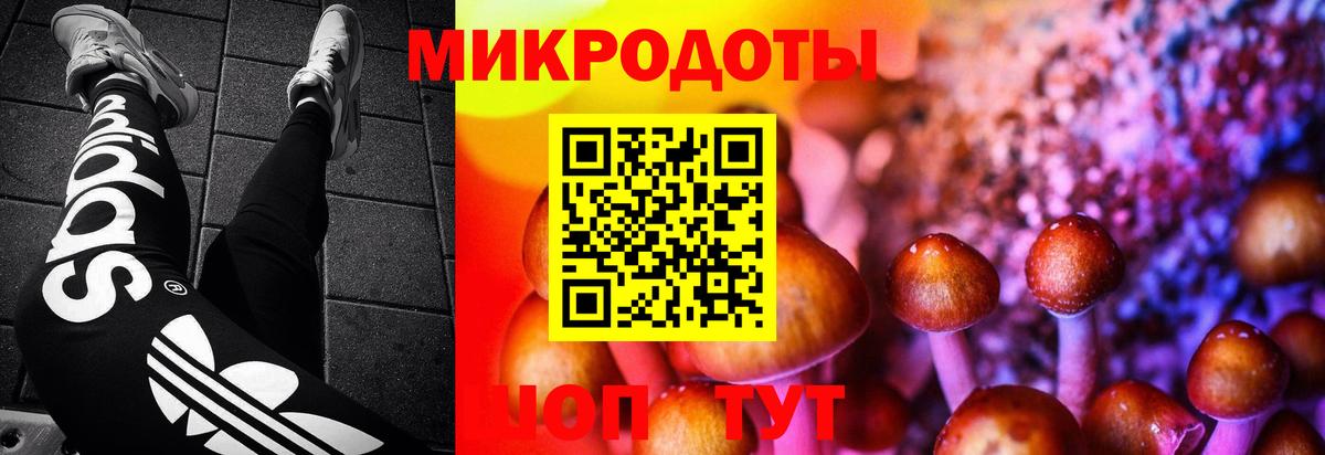 Галлюциногенные грибы мухоморы Лесозаводск